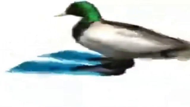 ВСЕМ СМОТРЕТЬ НЕ МОНТАЖ, НЕ СКЛЕЙКА!!!! смотреть онлайн