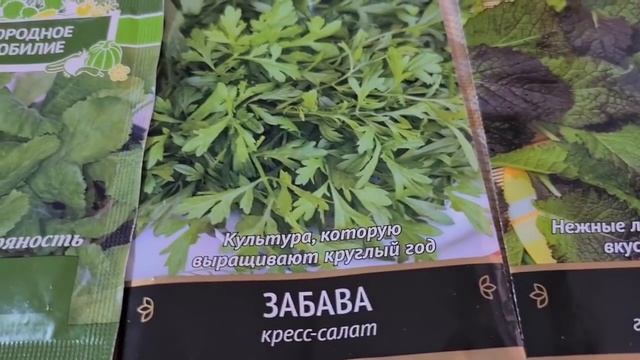 Ейск?Иду на медкомиссию. Варька. Цены в овощном магазине...