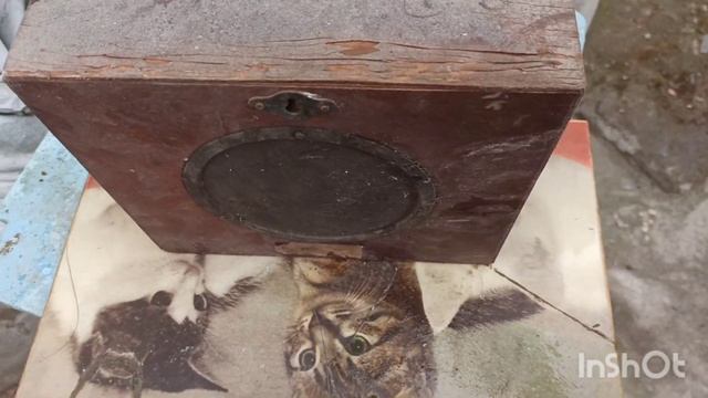 Залили пол. Новый помощник ? Очередная находка! Муравьи поели спелую клубнику ? смотреть онлайн