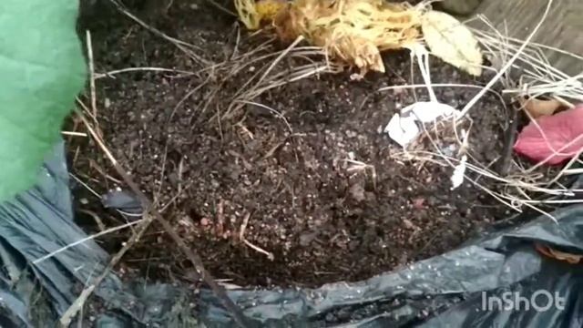 Компост за летний или зимний сезон . смотреть онлайн