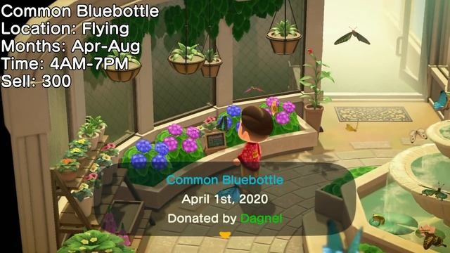 Animal Crossing New Horizons Guide to AUGUST! Bugs, Fish, Events and More! (Northern Hemisphere) смотреть онлайн