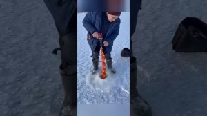 Шуруповерт-Ледобур Nawin 120н/м