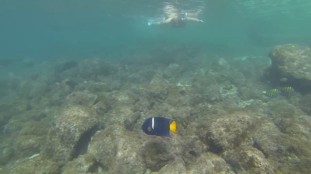 Sea Kayaking Baja Mexico - Loreto to La Paz смотреть онлайн
