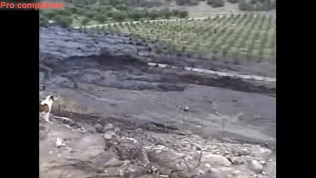 Вы не поверите, если они не были зарегистрированы смотреть онлайн