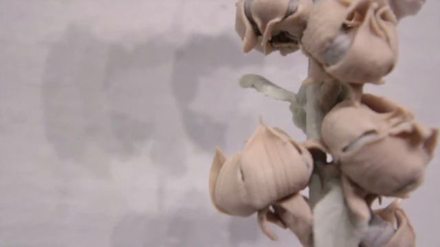 Ruth Chambers: Tend Tour