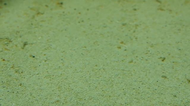 Море. Начало запуска. смотреть онлайн