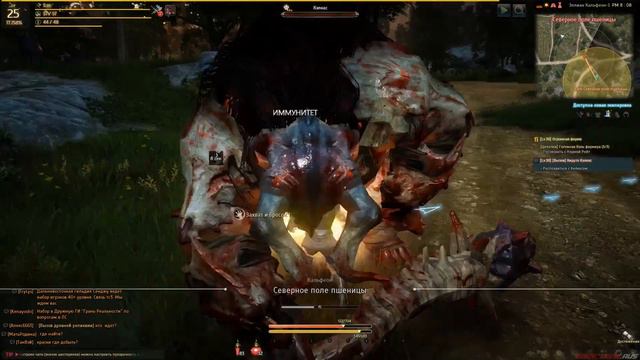 Black Desert Online  №48 - Хируто Кэлкас