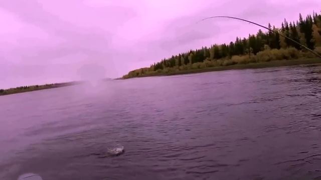 Северная Сосьва Осень 2015 смотреть онлайн