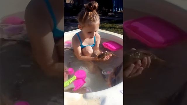 Вот так нужно ходить на рыбалку)) смотреть онлайн