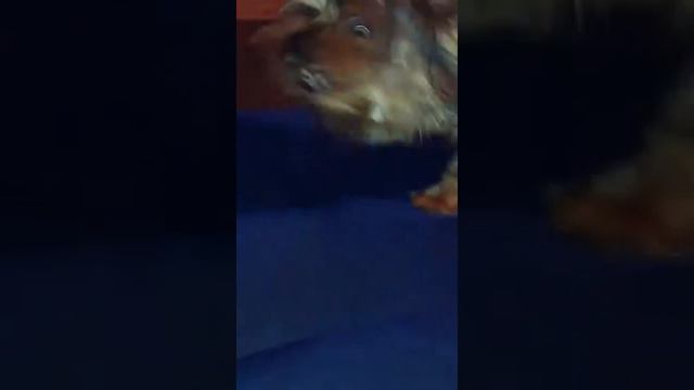 Майк. смотреть онлайн