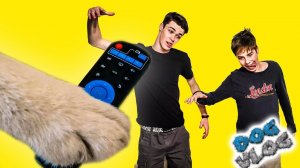 ПУЛЬТ УПРАВЛЕНИЯ ЧЕЛОВЕКАМИ  (Хаски Бандит) Говорящая собака. КОНКУРС НА СИГНУ