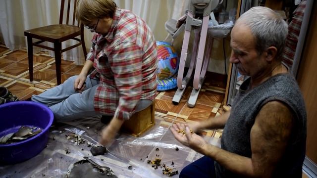 КАНЕВ . ВАСЯ СОБРАЛ ГРИБЫ . смотреть онлайн