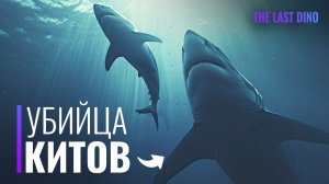 Мегалодон был ещё БОЛЬШЕ, чем мы думали