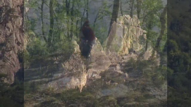 Горные озёра над Гурзуфом смотреть онлайн