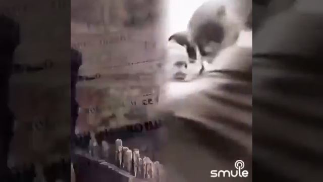 Белый танец.Тамара. смотреть онлайн