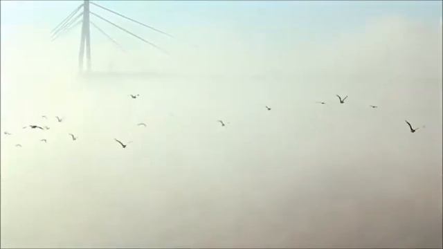 МІЙ КИЄВЕ смотреть онлайн