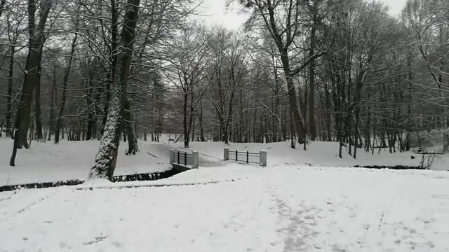 Наступила зима.Как обогреваемся? Какие они,Калининградцы? #прогулки #поговорить смотреть онлайн