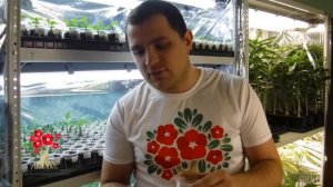 Грунт для адениума и других суккулентов.