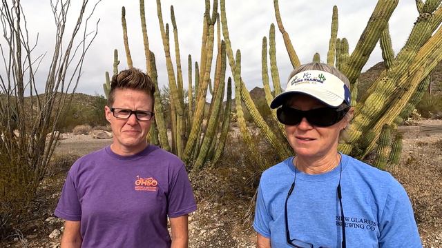 ORGAN PIPE CACTUS NATIONAL MONUMENT | Tips for Desert Camping | Bats, Packrats & Scorpions - oh my! смотреть онлайн