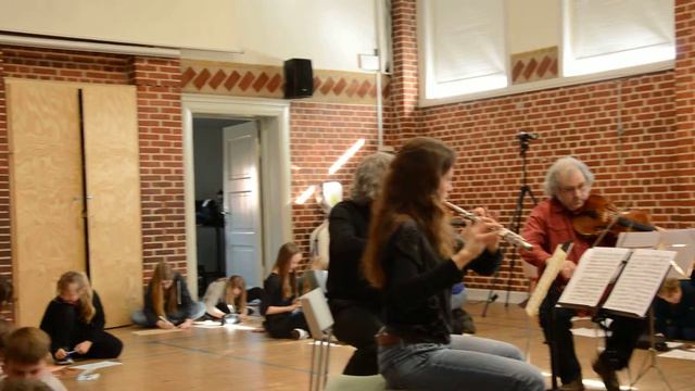 Mozart Flute Quartet D Major 3. mov. смотреть онлайн
