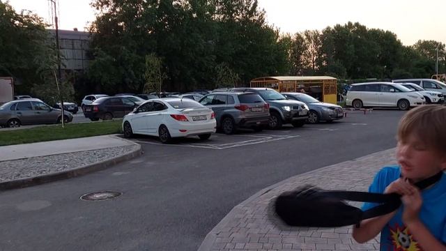Зверь и его стая: Персик сбежал из стаи - но стая его поймала смотреть онлайн