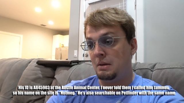 Flummoxed By Lummox | Tom Vlogs (11.1.2021-11.7.2021) смотреть онлайн