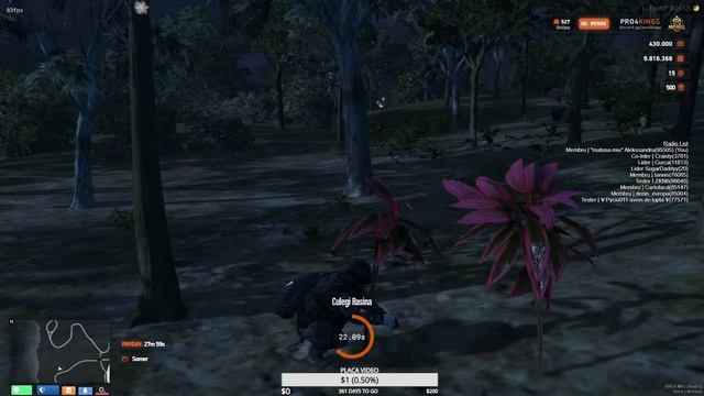 ? LIVE | FiveM Pro4KINGS Romania (CATERINCA CU FAMILIA NOASTRA CAMORRA)! смотреть онлайн