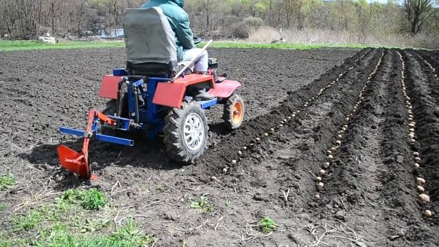 Посадка картошки самодельным минитрактором, 2021.