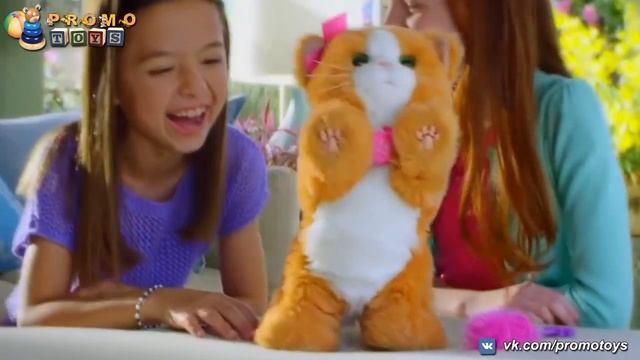 Дэйзи, игривый котенок (FurReal Friends Daisy Kitty) смотреть онлайн