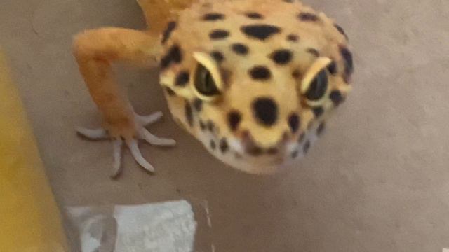 Вася проходит лабиринт смотреть онлайн