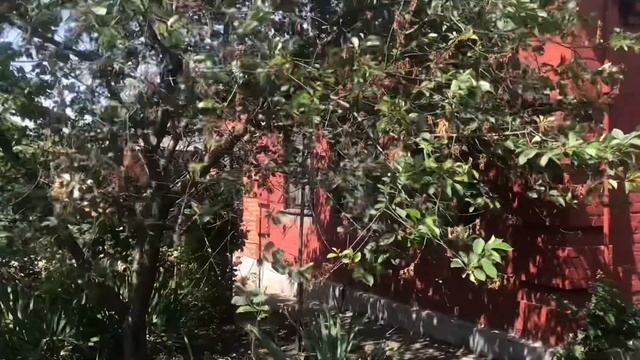 станица Динская, 12 соток, фасад 23 ,подключены все коммуникации, (Два домика) Цена : 7600? смотреть онлайн