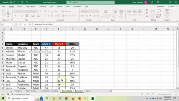 MS Excel | Working with Worksheets