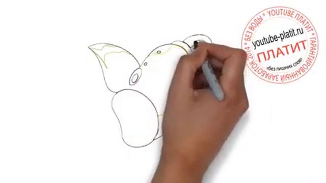 Как поэтапно рисовать покемонов Виипинбел weepinbell Как нарисовать покемона легко смотреть онлайн