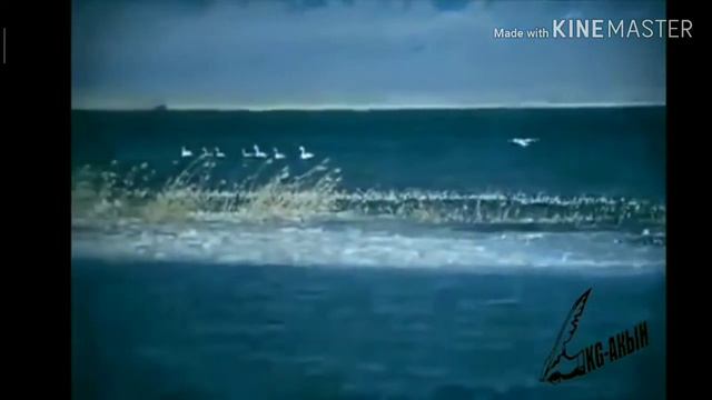 Ысык-көл- кыргыз бермети смотреть онлайн