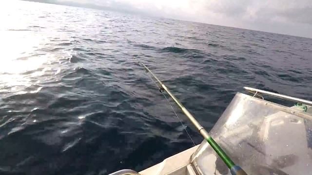 Как и на Что её Ловят Ставридкку! Чёрное море! смотреть онлайн