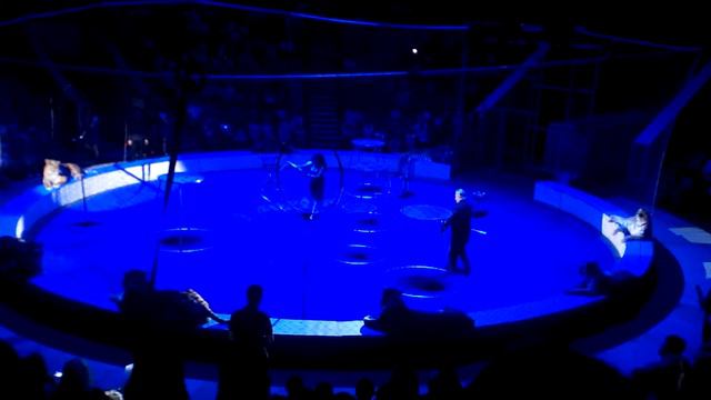 Цирк Багдасаровных "Планета 13"* Хищники!!!!!!!! смотреть онлайн