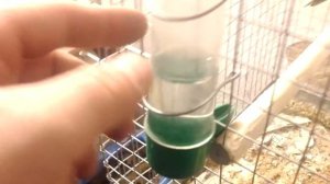 Установка дверцы и поилки в самодельной металлической клетке