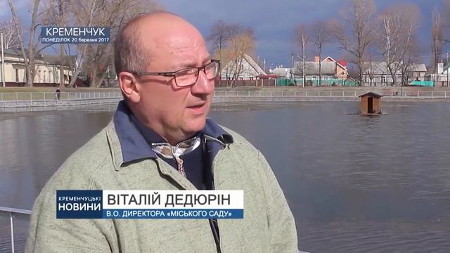 Возвращение лебедей в городской сад после зимы смотреть онлайн