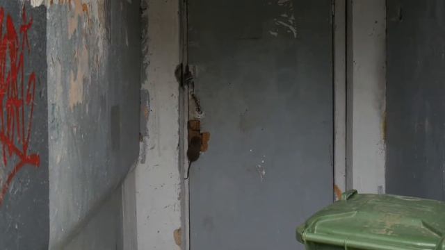 бурундук Фёдор Рататуевич вскрывает дверь зубами смотреть онлайн