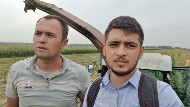 SHOK!! BU KOMBAYN NOMER 1 PUL TOPAR EKAN смотреть онлайн