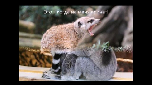 Мы наблюдаем мир смотреть онлайн