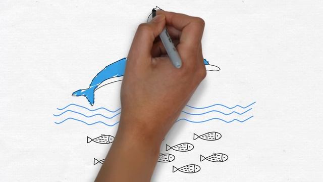 artscribe - рисованное видео, скрайбинг смотреть онлайн