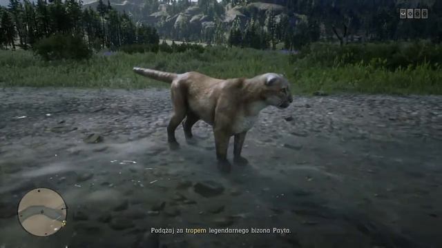 Red Dead Redemption 2 prosta, smutna puma смотреть онлайн