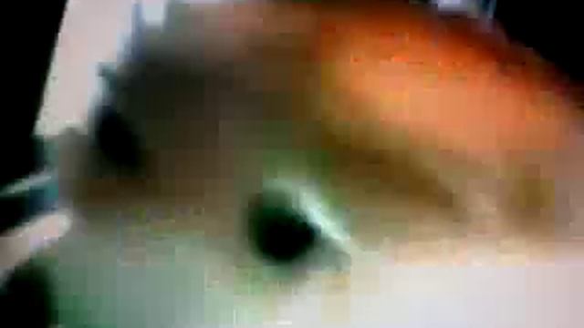 Flat Eric (The Epic Eric Story) смотреть онлайн