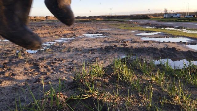 Shake of my dirty boots - By Denise смотреть онлайн