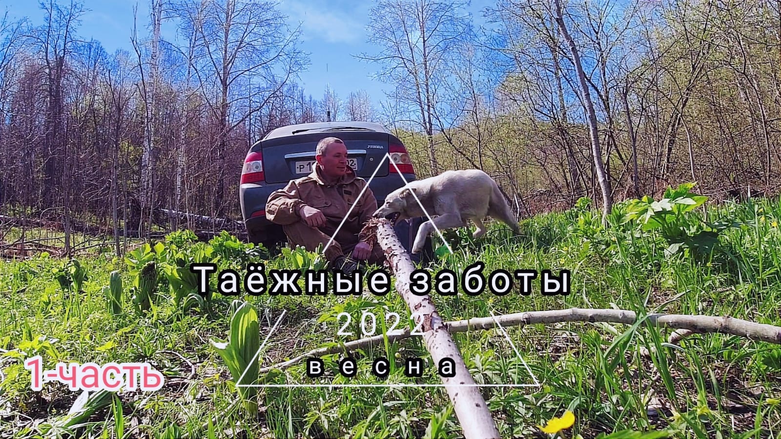 Часть-1. Таëжные заботы, Весна, Интересные истории из лесной жизни смотреть онлайн