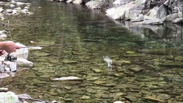 Мальма в кристально чистом ручье смотреть онлайн