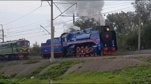 Поезда для детей. Паровоз гудит для малышей.