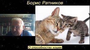 Борис Ратников - О способностях кошек.