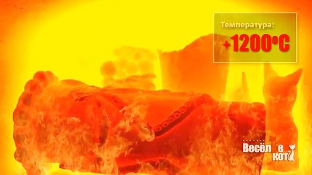 Компания "Весёлые коты" смотреть онлайн